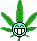 Weed